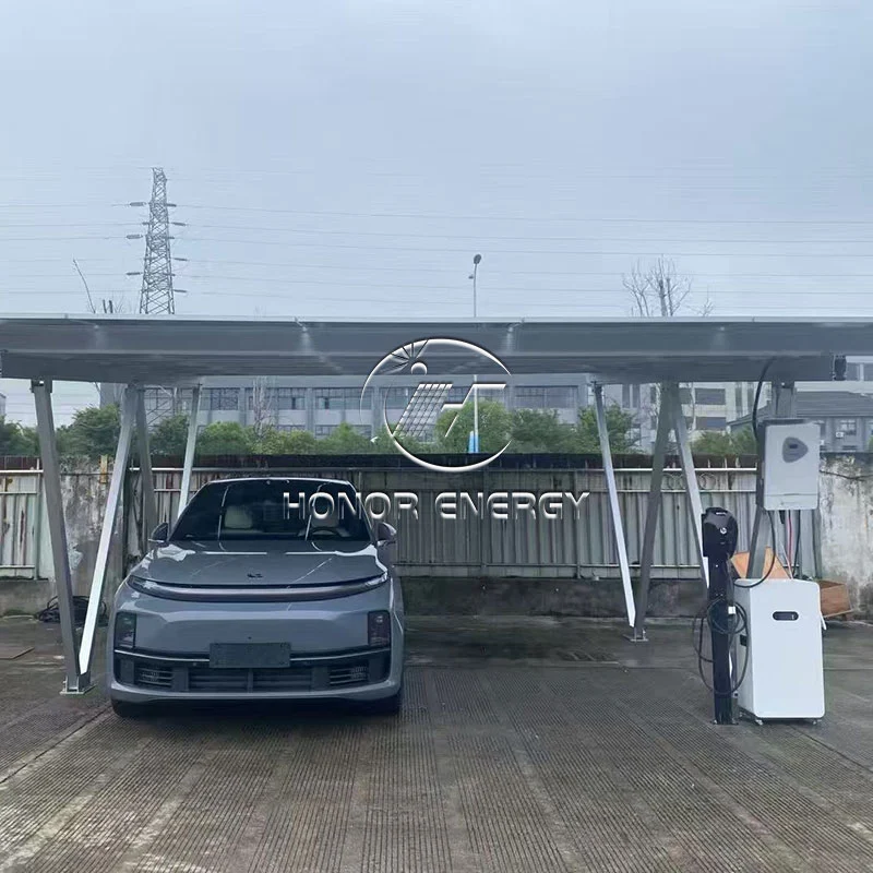 Montare cu carport solar