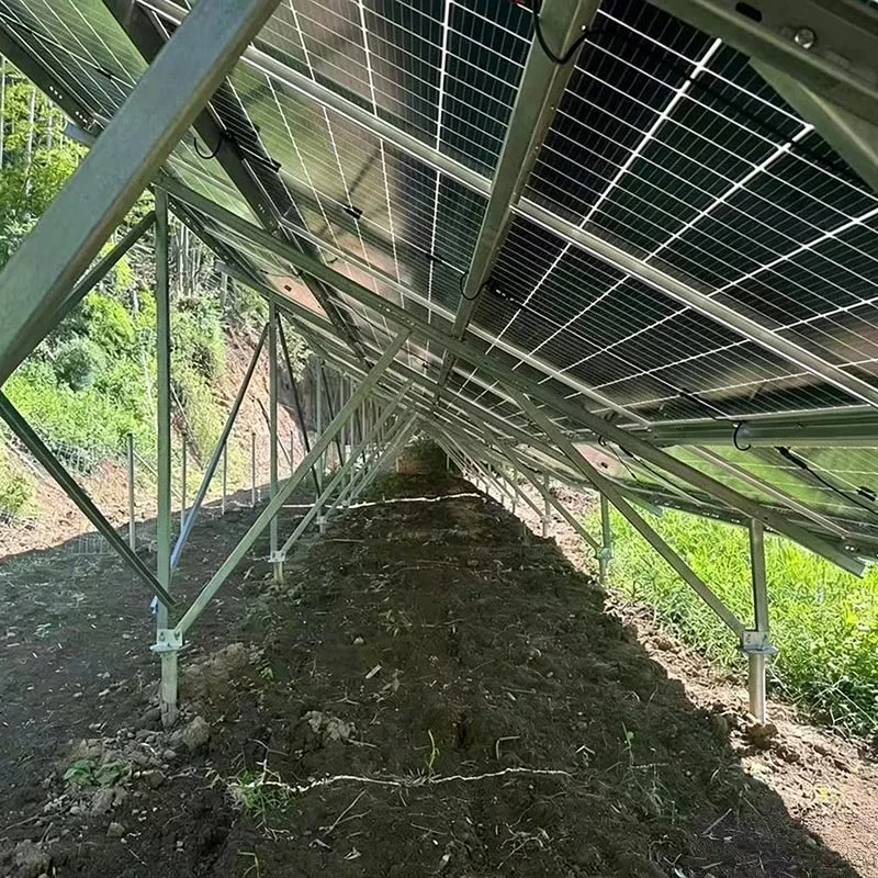 Montarea la sol a fermei solare